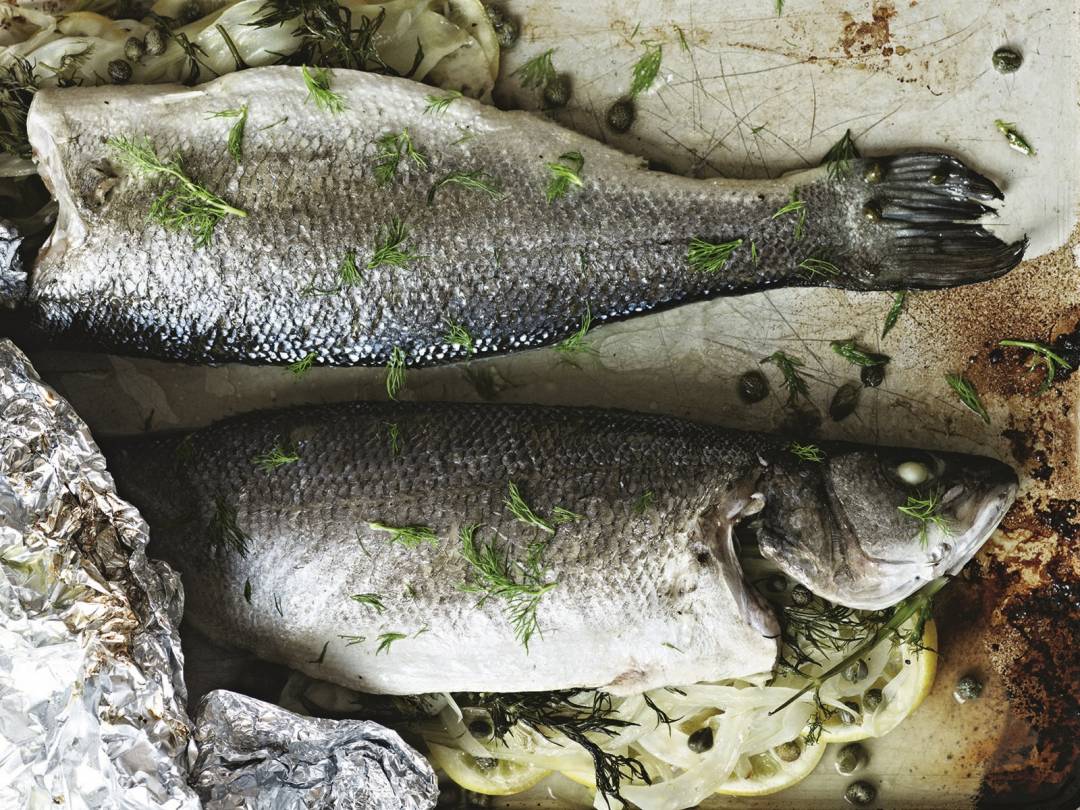 Sea Bass With Fennel Lemon And Capers Gordon Ramsay Recipes